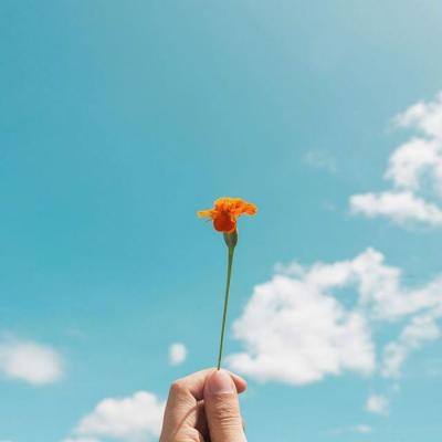 BOB体育平台下载地址